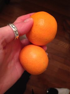 Close-up of person holding orange fruit